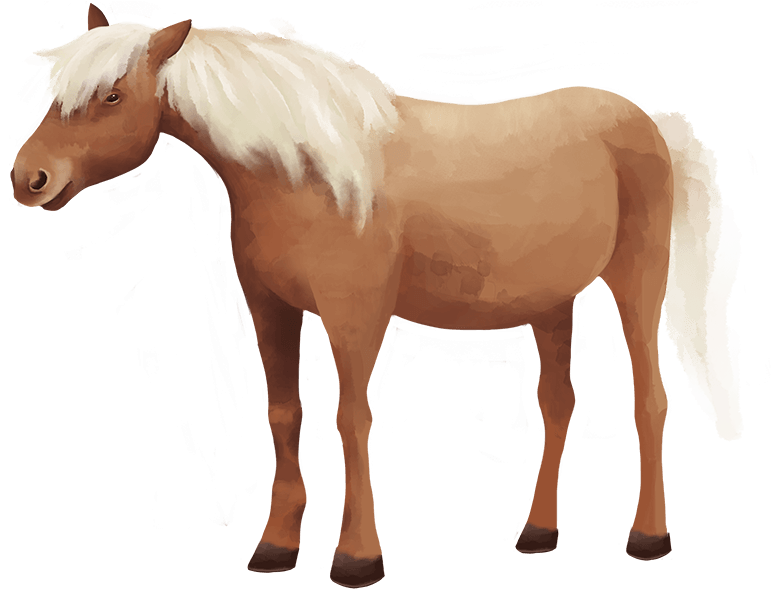Hevonen